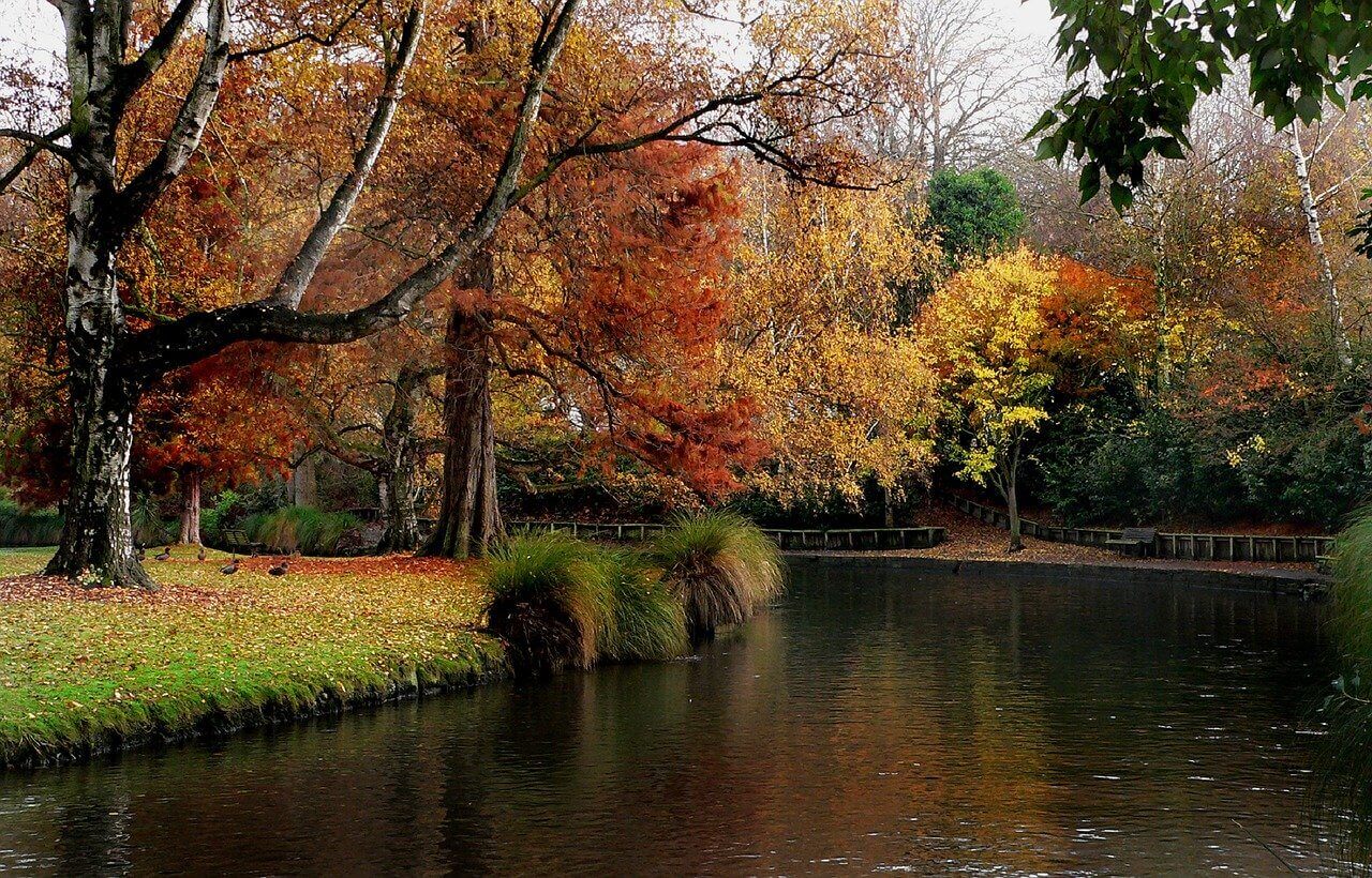 news - A river and trees in autumn in Christchurch, New Zealand