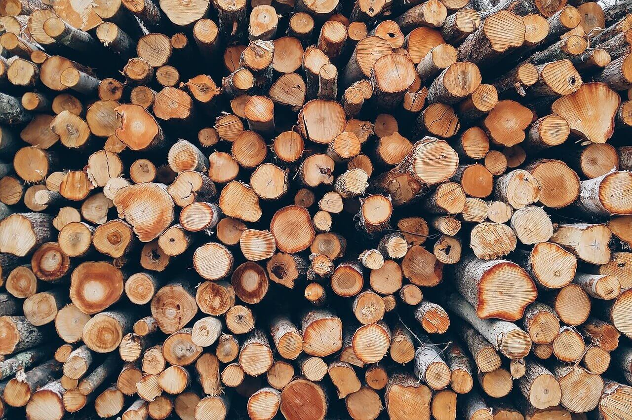 news - A large pile of PanPac logs, viewed from the cut end, creating a circular pattern