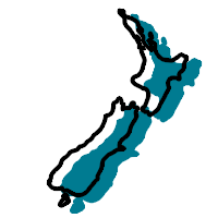 New Zealand Teal Shadow