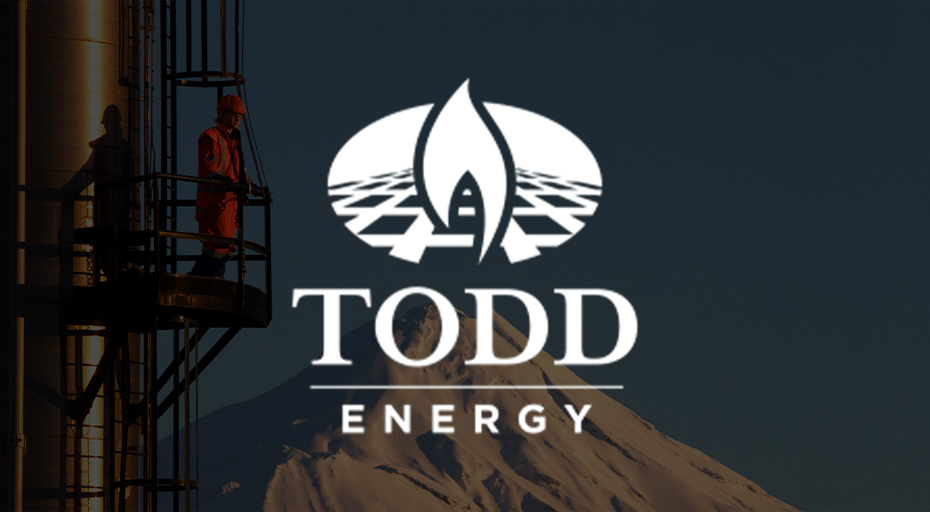 Todd Energy Long Case Study thumb