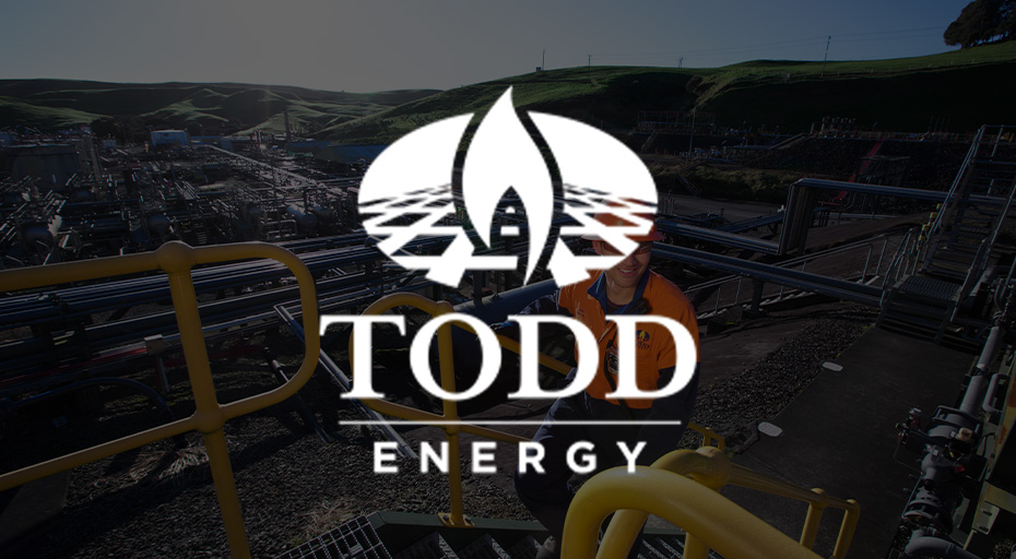 Todd energy Smart Records Case Study thumb